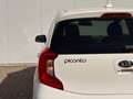 Kia Picanto 1.0 MPi 67pk 4-zits DynamicPlusLine | Navigatie | Blanc - thumbnail 36