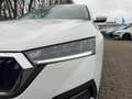 Skoda Octavia Combi 2.0 TDI Style 6-Gang LED AHK PDC Weiß - thumbnail 15