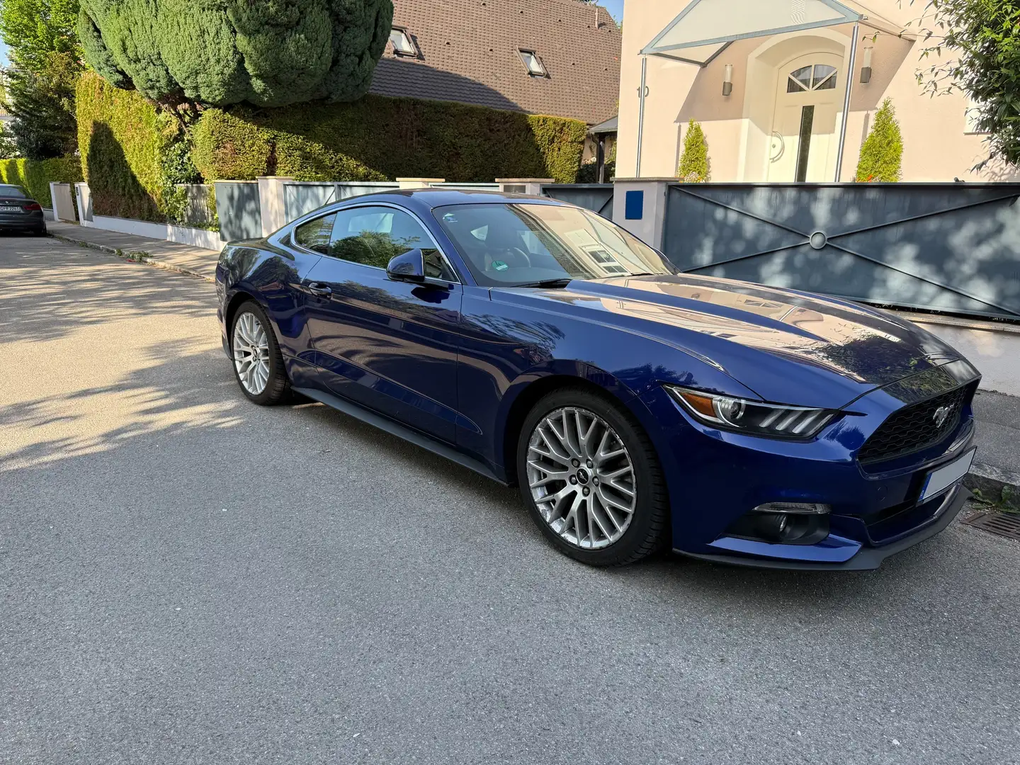 Ford Mustang Mustang 2.3 Eco Boost Blau - 1