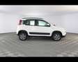Fiat Panda 4x4 1.3 Multijet Blanc - thumbnail 6