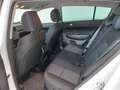 Kia Sportage BLACK EDITION 1.6 CRDi 116CV *CAMERA*GPS*CLIM* Wit - thumbnail 6
