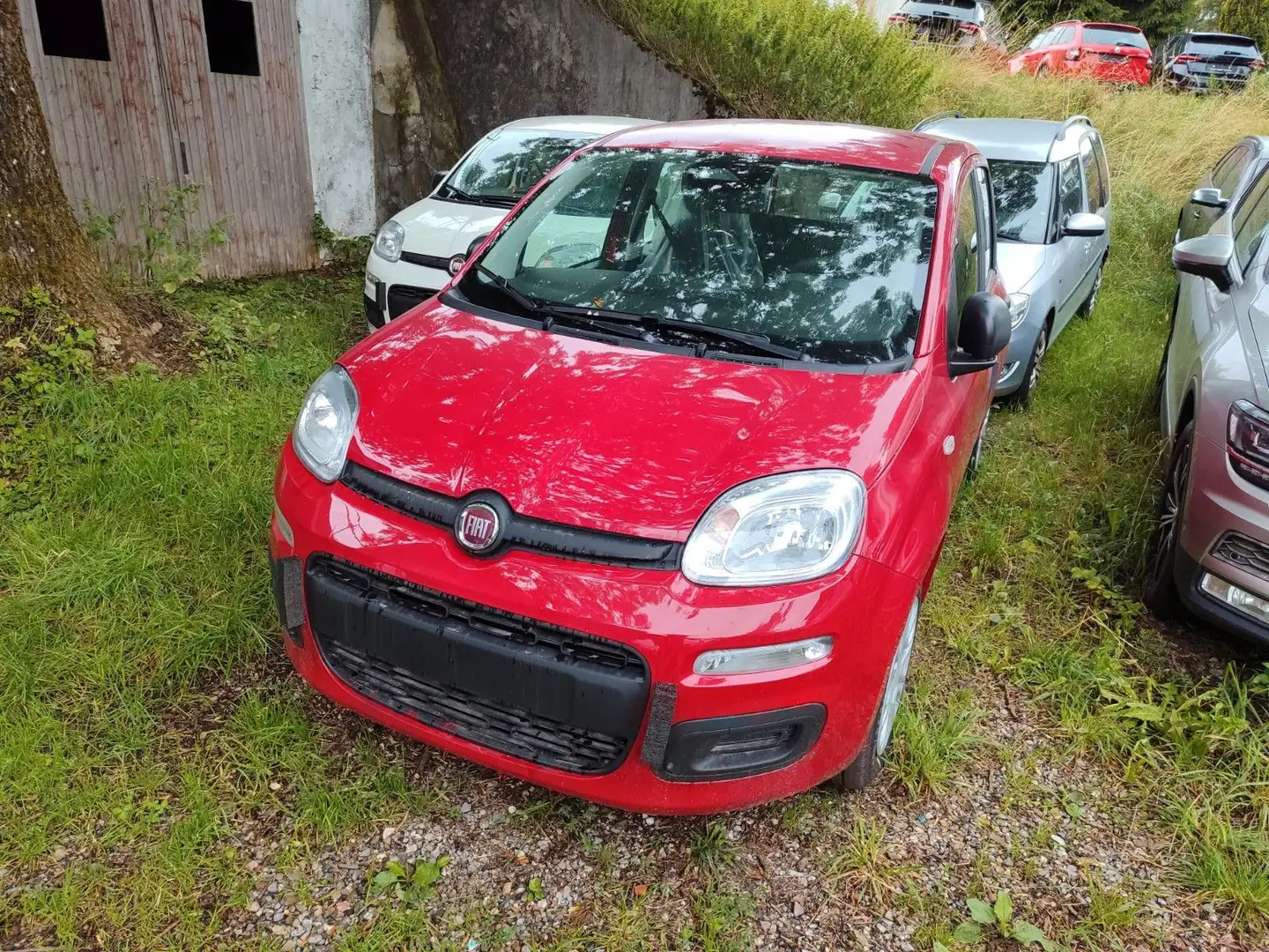 Fiat Panda 1.0 GSE Hybrid Rosso - 1