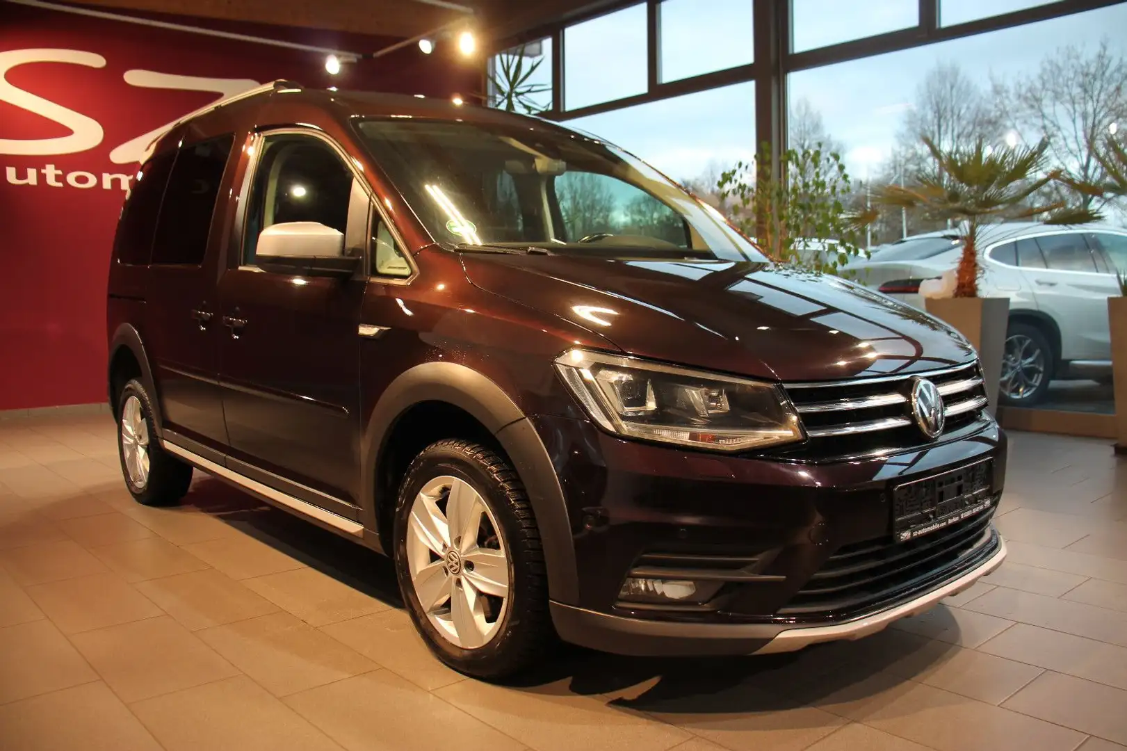 Volkswagen Caddy Alltrack 4Motion Kamera ACC Navi PDC Violett - 1