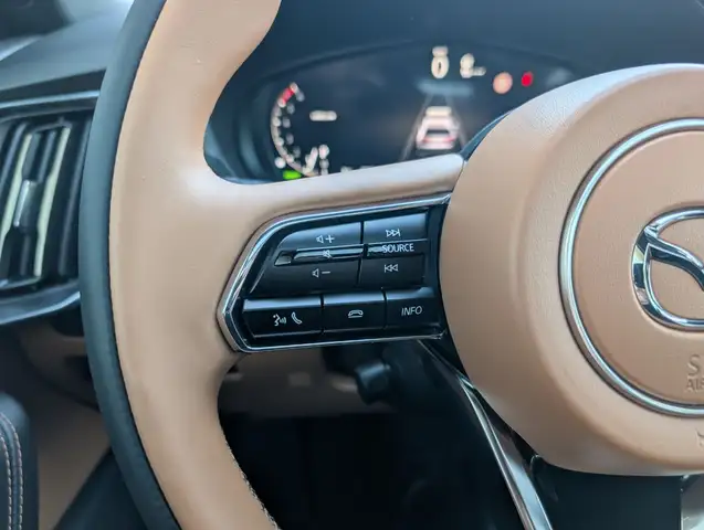 Mazda CX-60 3.3 D254 8AT AWD HOMURA PLUS TLOP Leder Ansicht 14