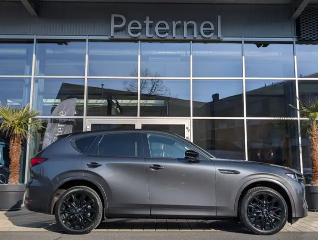 Mazda CX-60 3.3 D254 8AT AWD HOMURA PLUS TLOP Leder Ansicht 8