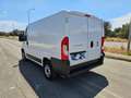 Fiat Ducato 28 2.3 MJT 120CV PC-TN Furgone Bianco - thumbnail 10