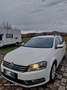 Volkswagen Passat 2.0 tdi Highline BM. TECH dsg - thumbnail 7