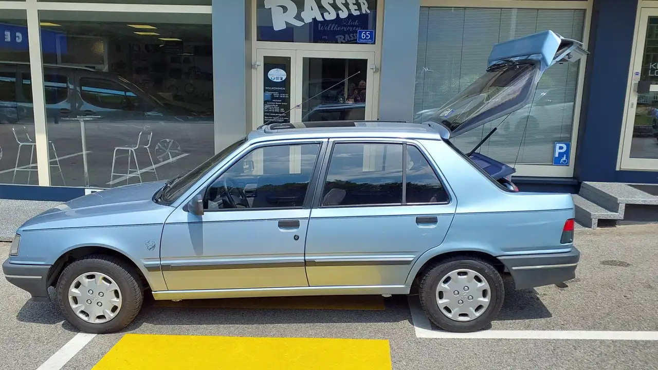 Peugeot 309 SRD, foto 6