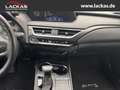 Lexus UX 250h Style Edition LED+ACC+CarPlay Grau - thumbnail 14