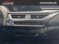 Lexus UX 250h Style Edition LED+ACC+CarPlay Grau - thumbnail 15