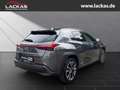 Lexus UX 250h Style Edition LED+ACC+CarPlay Grau - thumbnail 5