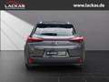 Lexus UX 250h Style Edition LED+ACC+CarPlay Grau - thumbnail 4