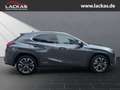 Lexus UX 250h Style Edition LED+ACC+CarPlay Grau - thumbnail 6