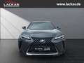 Lexus UX 250h Style Edition LED+ACC+CarPlay Grau - thumbnail 8