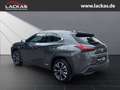 Lexus UX 250h Style Edition LED+ACC+CarPlay Grau - thumbnail 3