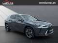 Lexus UX 250h Style Edition LED+ACC+CarPlay Grau - thumbnail 7