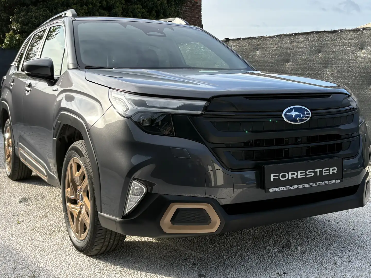Subaru Forester Forester 2.0 Luxury 50 eme anniversaire Grijs - 1