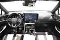 Lexus NX 300h 450h+ F Sport 4WD Verde - thumbnail 10