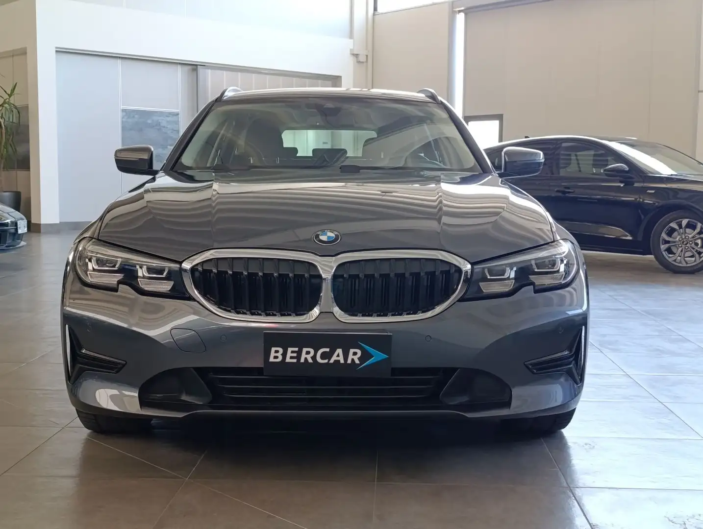 BMW 318 318i Touring Business Advantage - 2