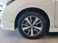 Nissan Leaf Leaf Enel Edition 40kWh 150cv Weiß - thumbnail 6