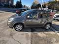 Fiat Panda Panda 1.0 FireFly S&S Hybrid Gris - thumbnail 2