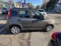 Fiat Panda Panda 1.0 FireFly S&S Hybrid Gris - thumbnail 4