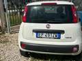 Fiat Panda Panda 0.9 t.air t. natural power Easy 80cv White - thumbnail 2