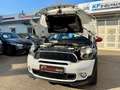 MINI John Cooper Works Countryman JKW Countryman*1HD*PANO*NAVI*PDC*2SH*XEN*LED*6GA Blanco - thumbnail 6