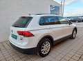 Volkswagen Tiguan 2,0 TDI SCR Comfortline Erster Besitz Weiß - thumbnail 6