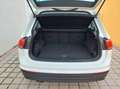 Volkswagen Tiguan 2,0 TDI SCR Comfortline Erster Besitz Weiß - thumbnail 7