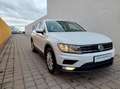 Volkswagen Tiguan 2,0 TDI SCR Comfortline Erster Besitz Weiß - thumbnail 3