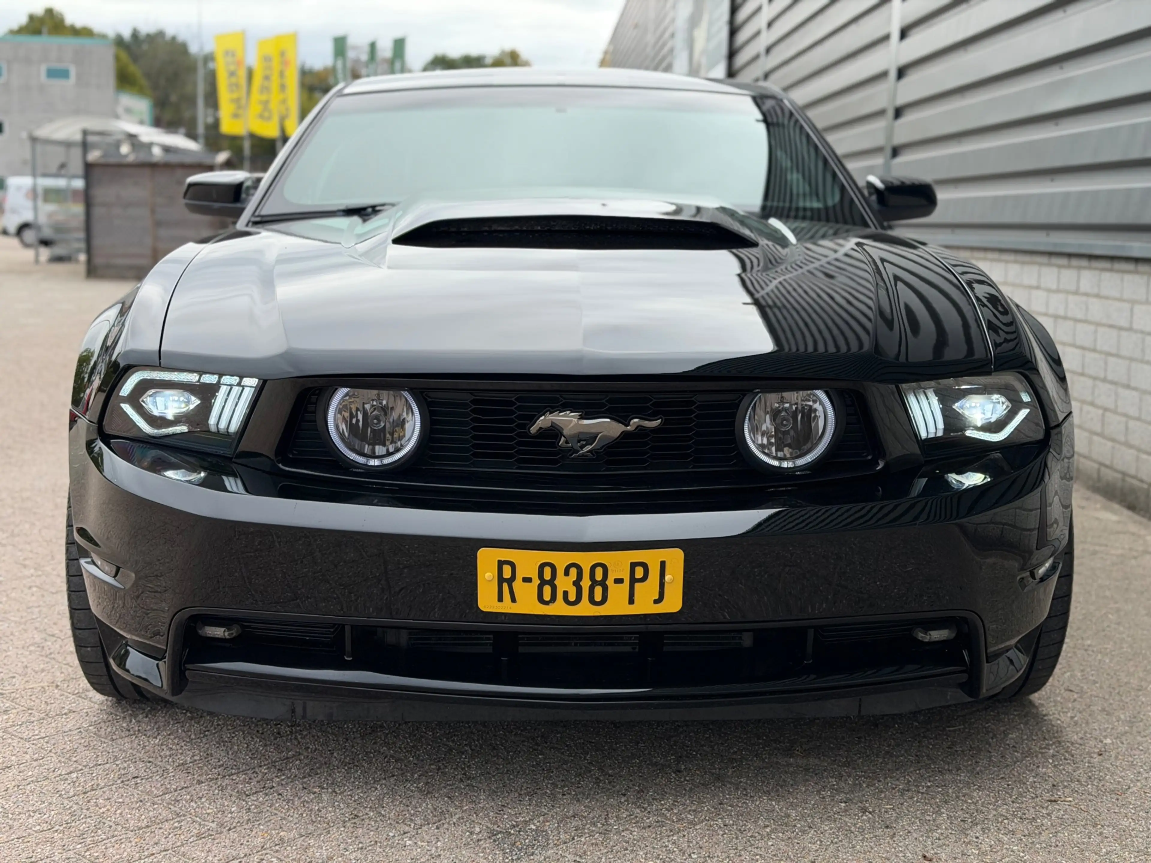 Ford Mustang 5.0 V8 GT Automaat 418PK 20inch / APK — photo 10
