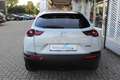 Mazda MX-30 EV Advantage Modern Confidence Allwetter NAVI el. Wit - thumbnail 5