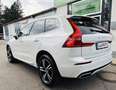 Volvo XC60 D4 R-Design Geartronic Weiß - thumbnail 6