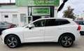 Volvo XC60 D4 R-Design Geartronic Weiß - thumbnail 5