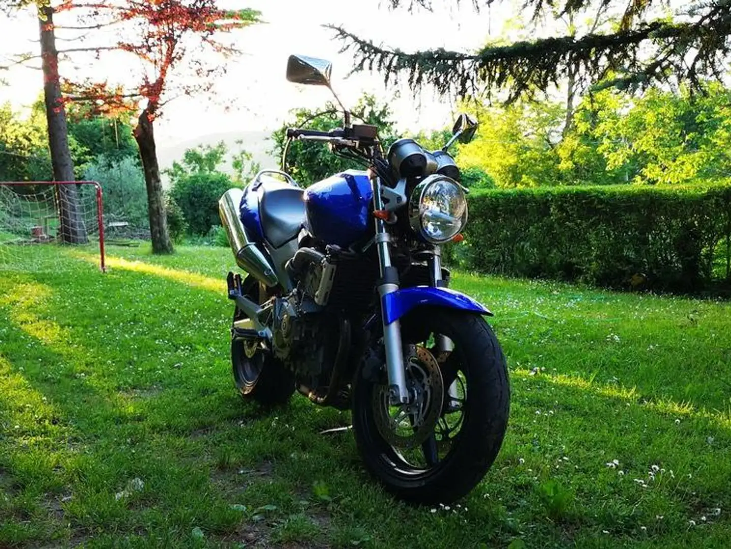 Honda Hornet CB 600 F Blu/Azzurro - 1