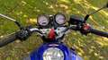 Honda Hornet CB 600 F Blu/Azzurro - thumbnail 6