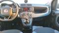 Fiat Panda Panda 0.9 t.air t. Trussardi 4x4 s Rosso - thumbnail 9