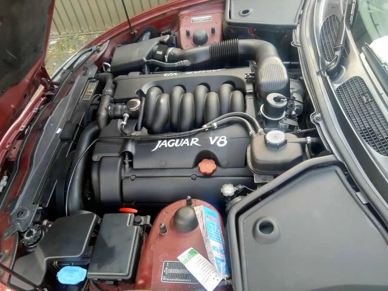 Jaguar XK Coupe, foto 11