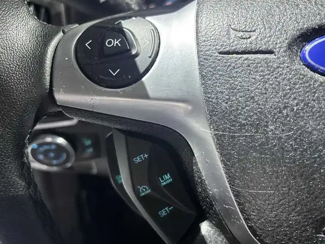 Ford Focus view 20