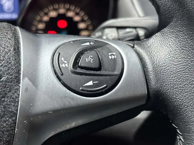 Ford Focus view 19