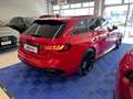 Audi RS4 Avant 2.9 tfsi quattro 450cv tiptronic Rosso - thumbnail 5