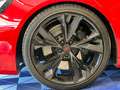 Audi RS4 Avant 2.9 tfsi quattro 450cv tiptronic Rosso - thumbnail 6