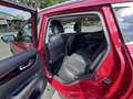 Nissan Qashqai 1.6 DCI 130CH TEKNA XTRONIC Rojo - thumbnail 6