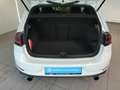 Volkswagen Golf GTI GTI PANO STHZ SOUNDSYSTEM APP CONNECT Blanco - thumbnail 7