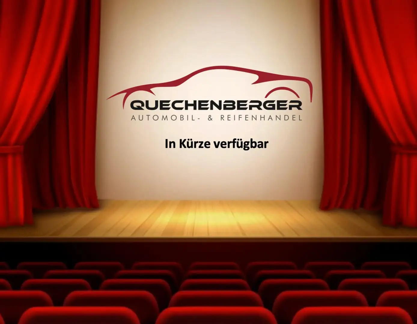 SEAT Ibiza mit 8-fach Bereifung, Multi, in TOP ZUSTAND !!! Grau - 1
