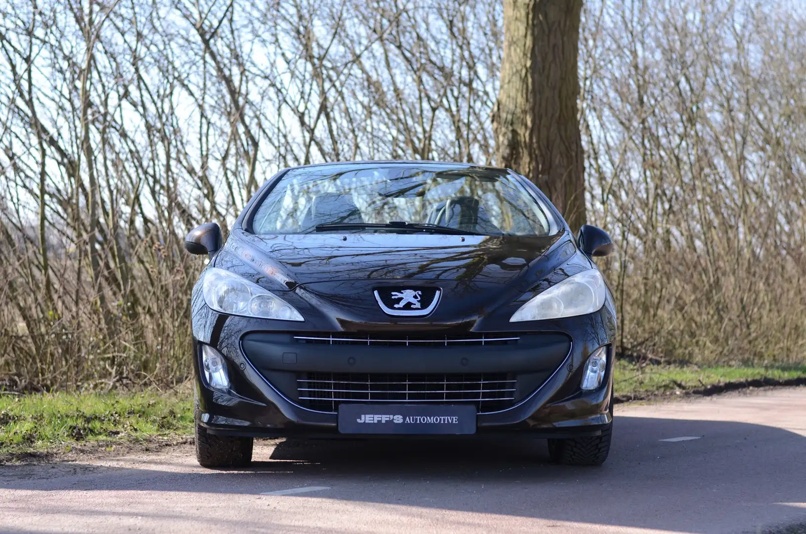 Peugeot 308 CC 1.6 THP Feline Bruin - 2