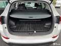 Hyundai TUCSON 1.7 CRDI 141ch EXECUTIVE 2WD DCT 7 Pano Wit - thumbnail 21