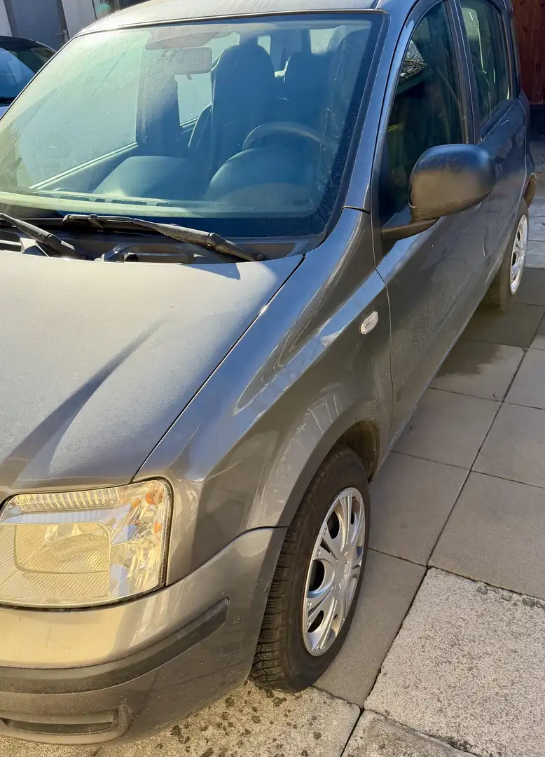 Fiat Panda Panda Classic 1,4 Natural Power 70 Grau - 2