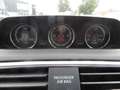 Volkswagen Scirocco Automatik , Sitzheizung , Navi ,Xenon Violett - thumbnail 10